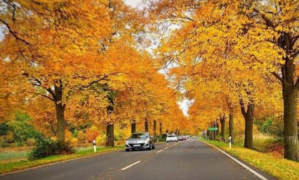 Đi Nga mùa thu lá vàng mặc gì? Lưu ý thời tiết và kinh nghiệm giữ ấm